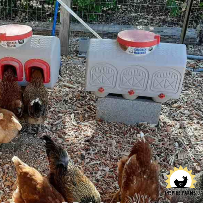 OverEZ Chicken Waterers