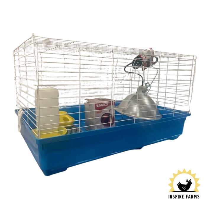 The Complete Chick Set Up