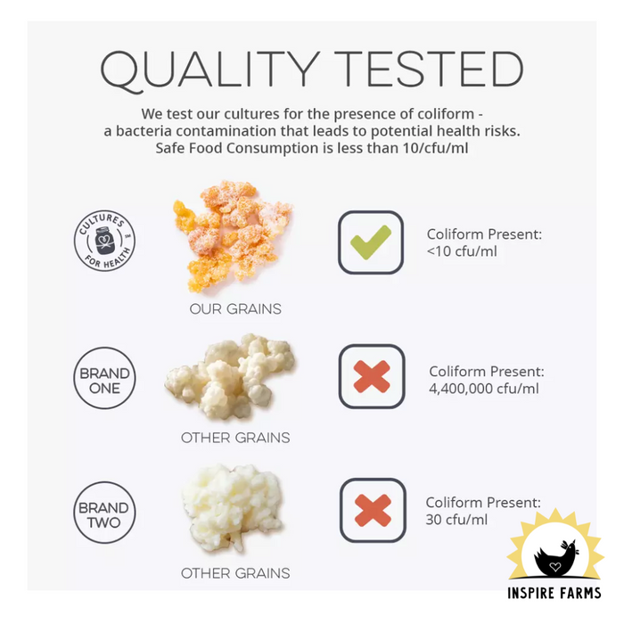 Cultures for Health - Milk Kefir Grains