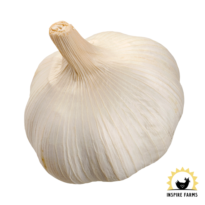 Garlic - Single