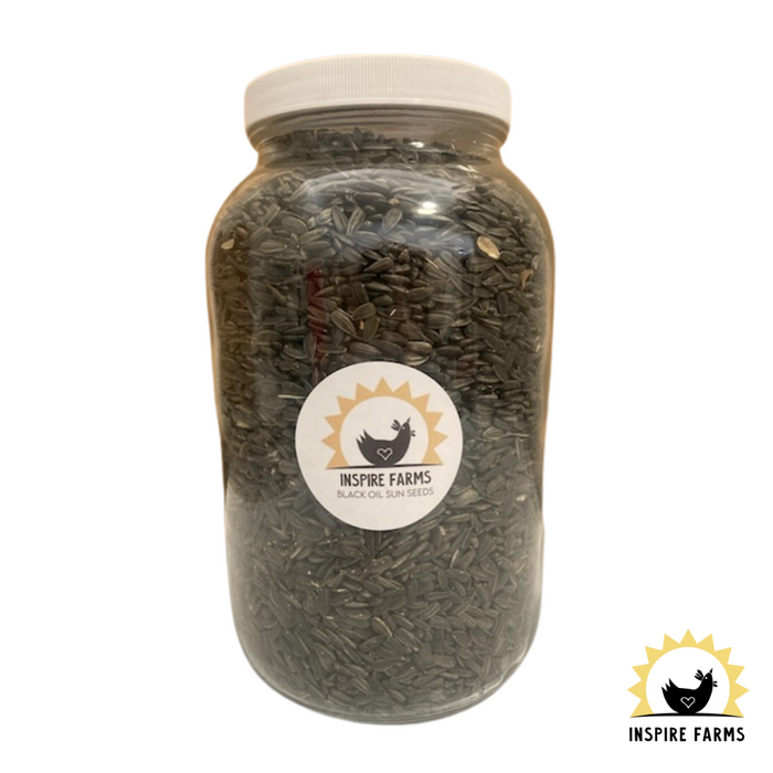 Organic Whole Grains in Glass