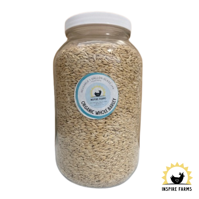 Organic Whole Grains in Glass