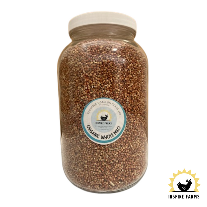 Organic Whole Grains in Glass