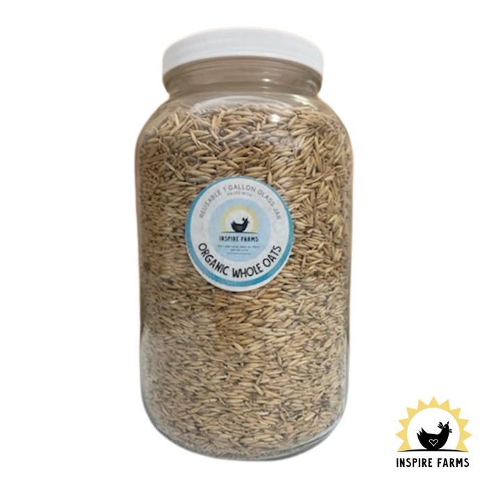 Organic Whole Grains in Glass