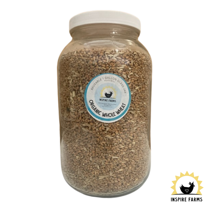 Organic Whole Grains in Glass