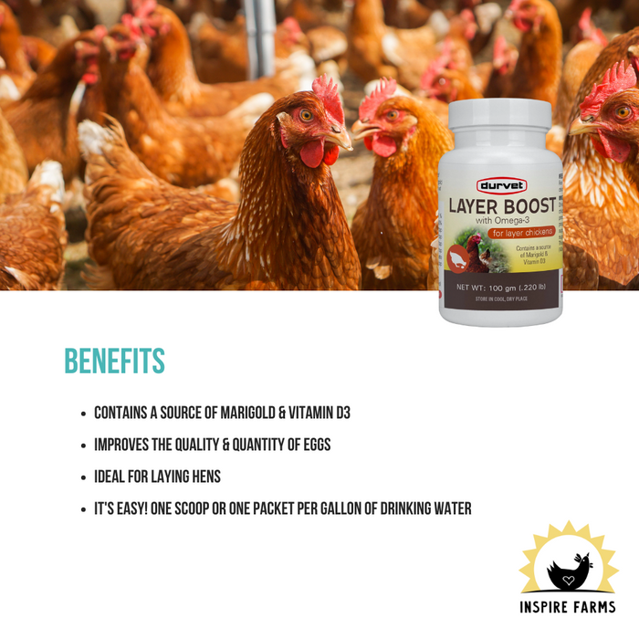 Layer Boost with Omega-3 for Chickens 100g