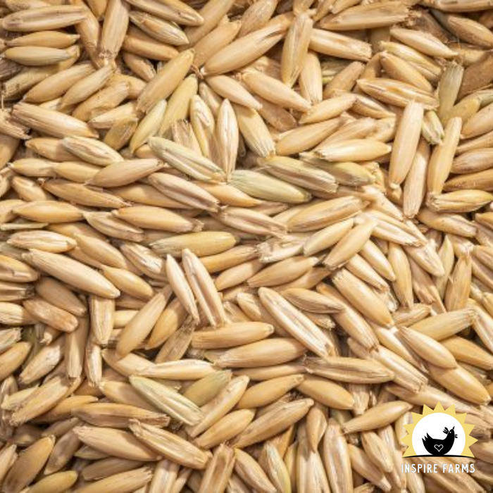 Modesto Milling Whole Oats