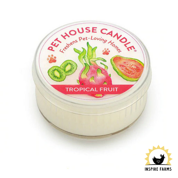 Pet House Mini Candles