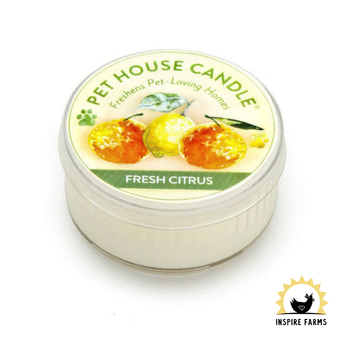 Pet House Mini Candles