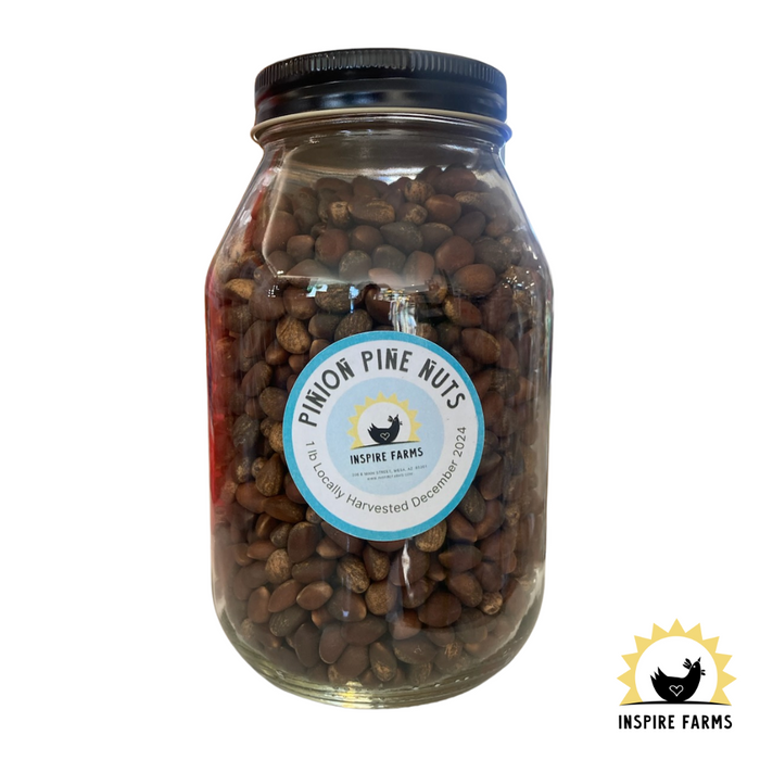 Pinion Pine Nuts