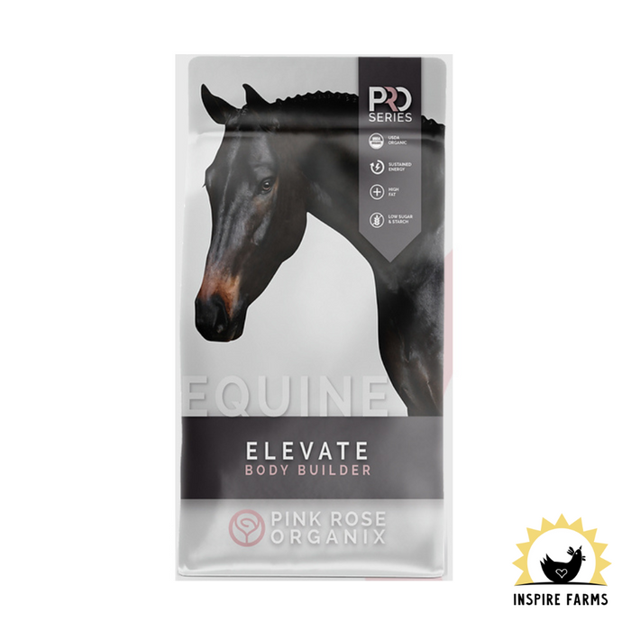 PRO Series ELEVATE Body Builder SPECIAL ORDER