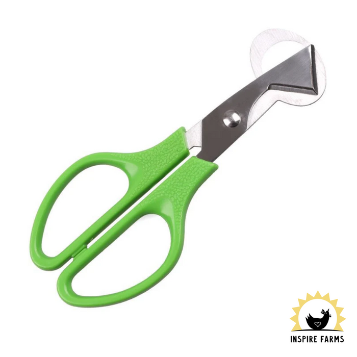 Quail Egg scissors