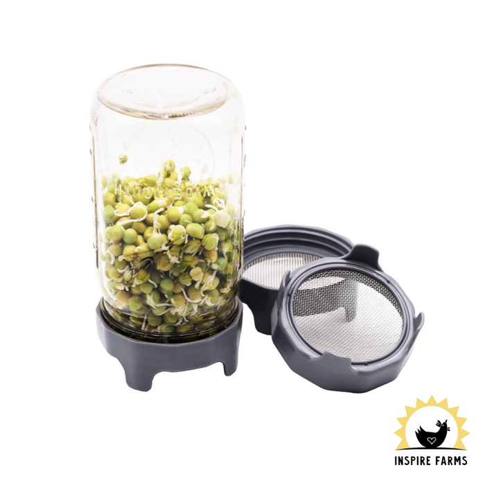 Rust Proof Sprouting Lid with Built-In Stand for Wide Mouth