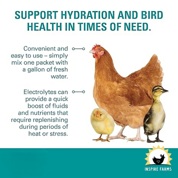 Sav-A-Chick Electrolyte & Vitamin Supplement