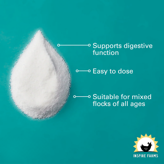 Sav-A-Chick Probiotic Supplement