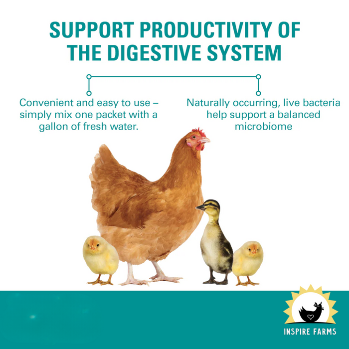 Sav-A-Chick Probiotic Supplement