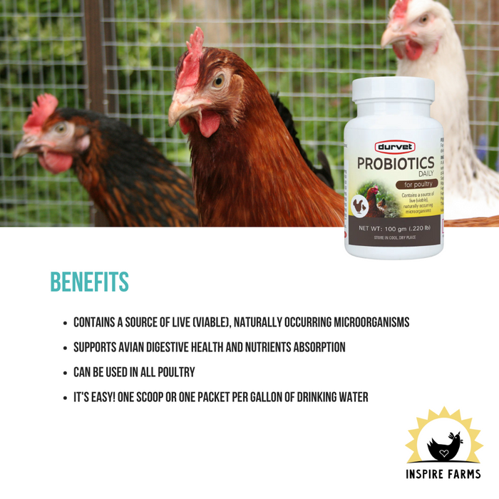 Probiotics Daily for Poultry 100g