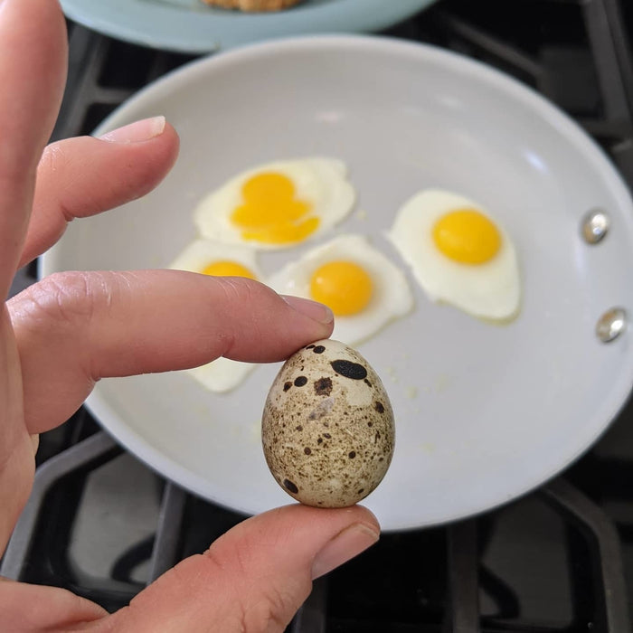 Quail Eggs