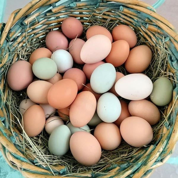 Dozen Large Eggs (Non-GMO, corn-free, soy-free) - Prairie Creek Farms