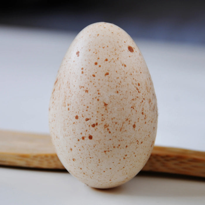IF Organic Fed Turkey Eggs half doz