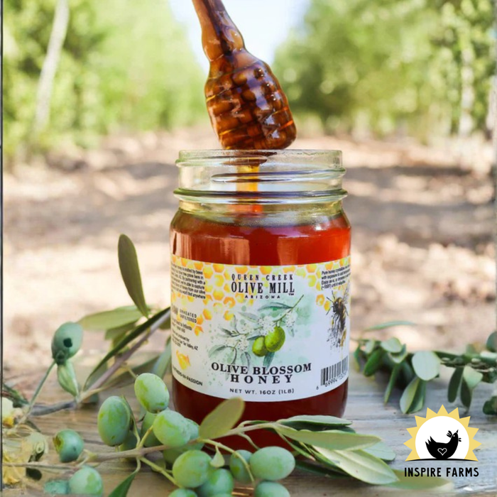 Queen Creek Olive Mill - Olive Blossom Honey - 1lb