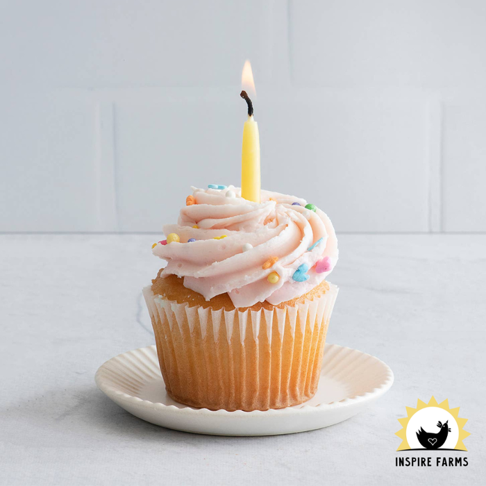 100% Pure Beeswax Birthday Candles