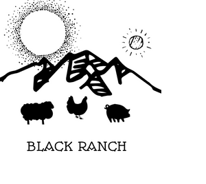 Chicken Drumsticks - Black Ranch