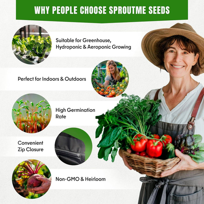 20 Vegetable Seeds Variety Pack