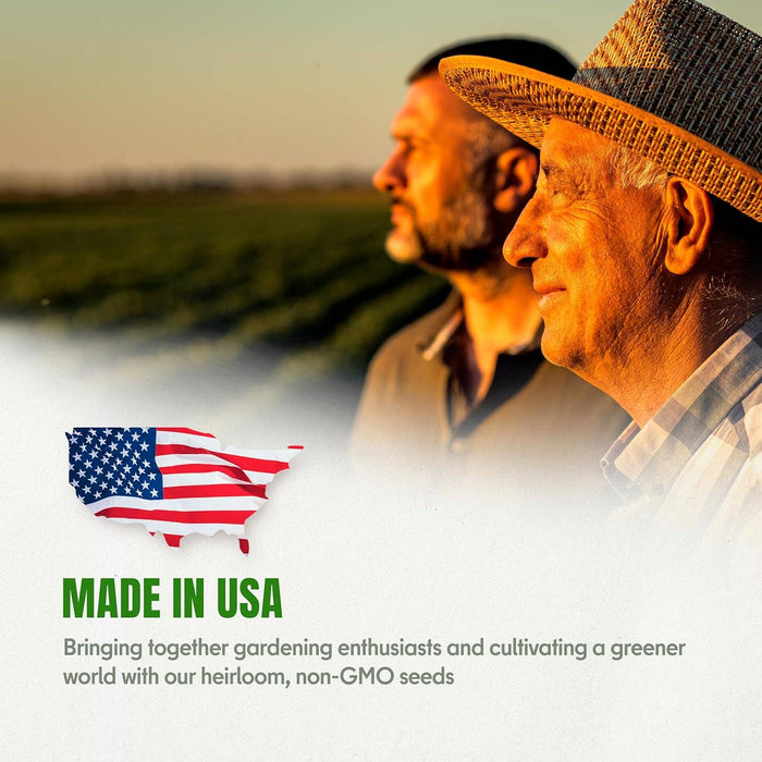 15 Medicinal & Herbal Tea Seeds Variety Pack