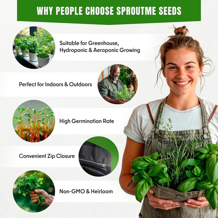 18 Culinary Seeds Variety Pack