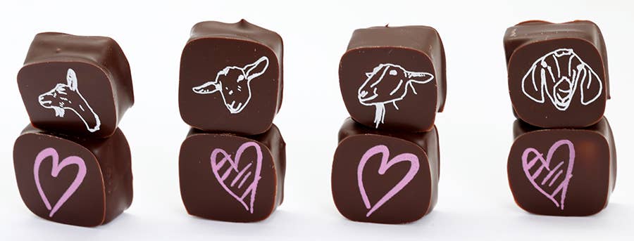 Chocolate Covered Goat Milk Caramel with Hearts (Valentine)