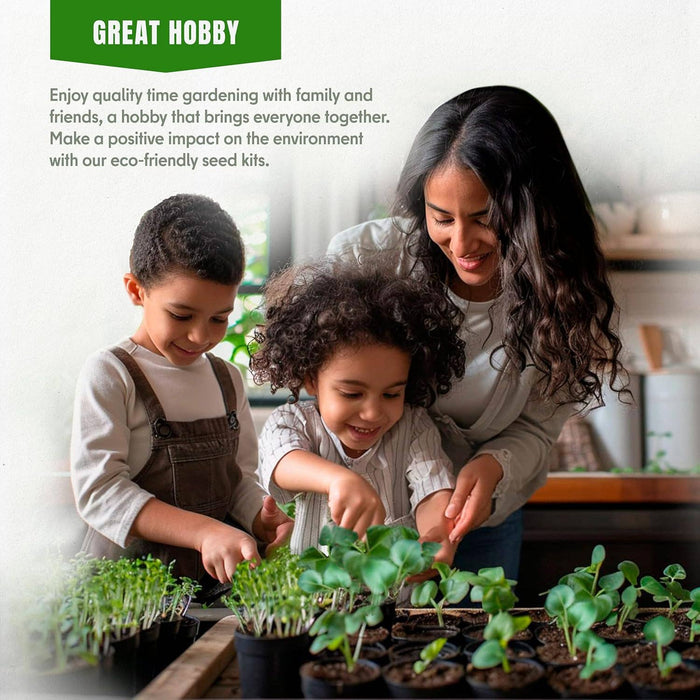 15 Medicinal & Herbal Tea Seeds Variety Pack