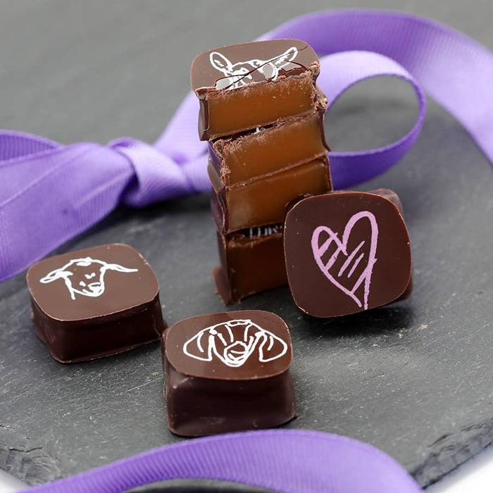 Chocolate Covered Goat Milk Caramel with Hearts (Valentine)