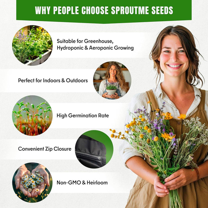 15 Medicinal & Herbal Tea Seeds Variety Pack