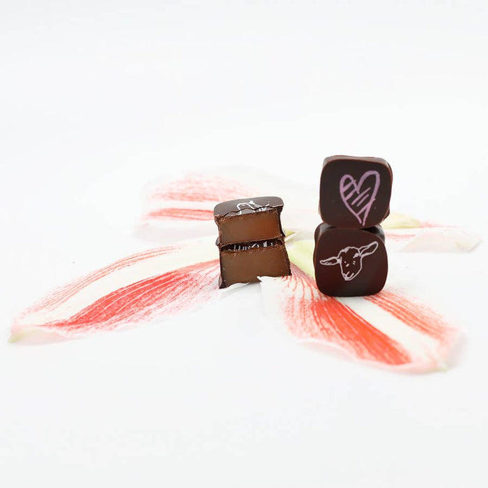 Chocolate Covered Goat Milk Caramel with Hearts (Valentine)