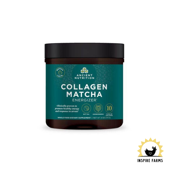 Ancient Nutrition - Collagen Matcha Energizer