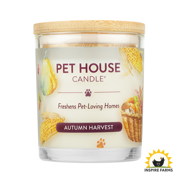Pet House Candles