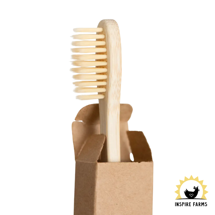 Bamboo Toothbrush
