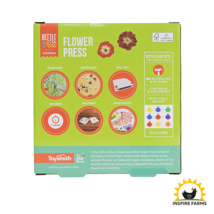 Toysmith Beetle & Bee Garden Paint A Flower Press