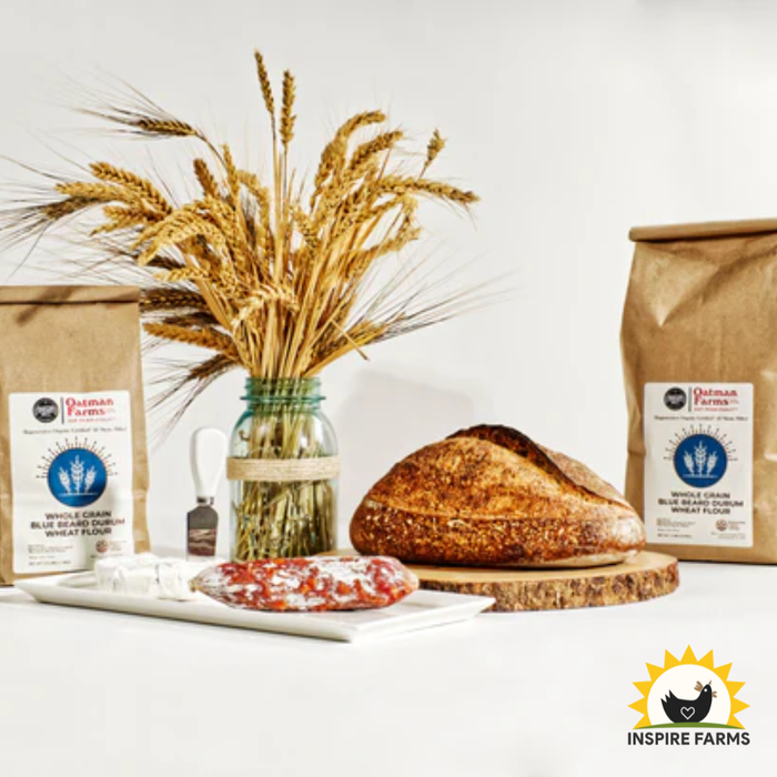 Blue Beard Durum & White Sonora Flour Blend - 2.5lb