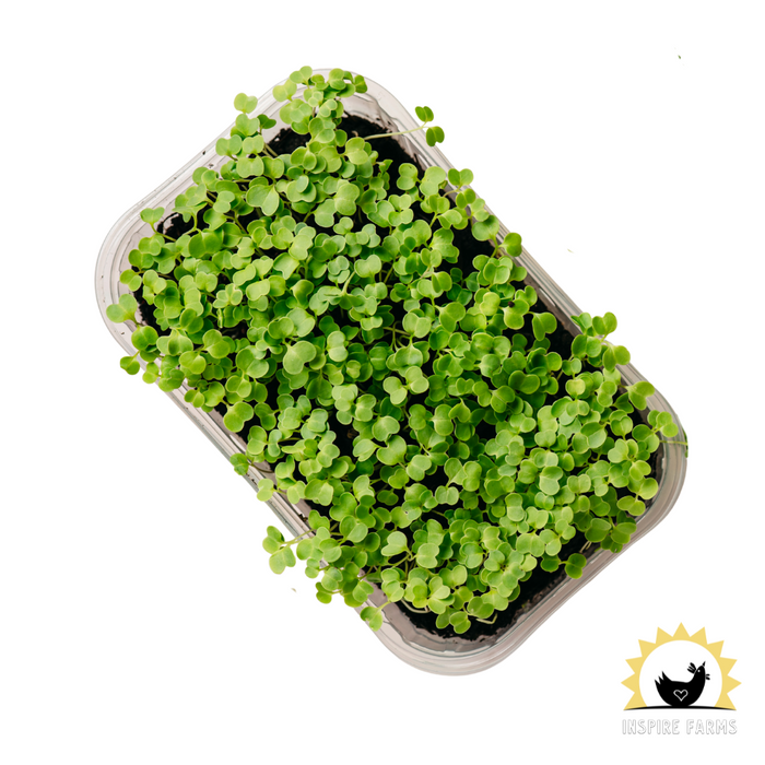 Just Farm Vegetables, Greens, and Herbs