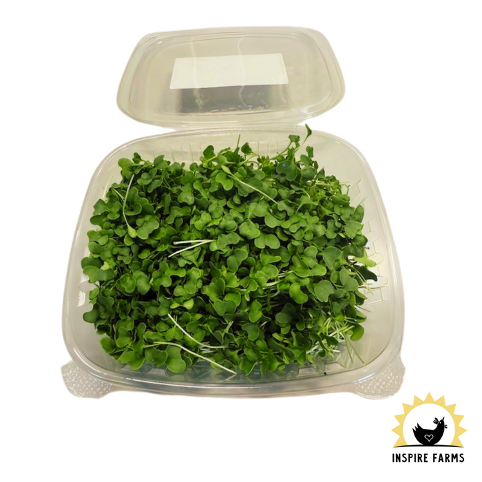 Harvest Micro Greens