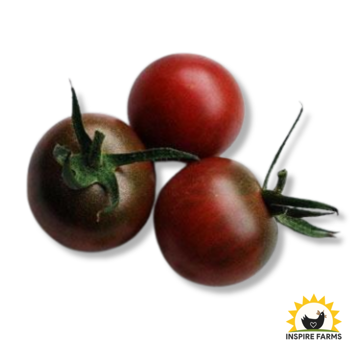 Black Cherry Tomato Seeds