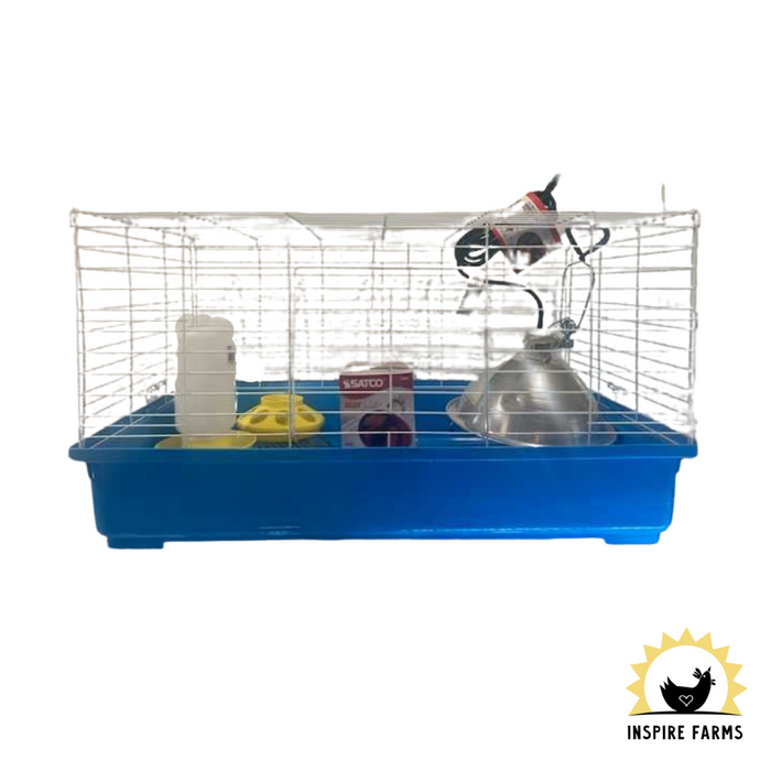 The Complete Chick Set Up