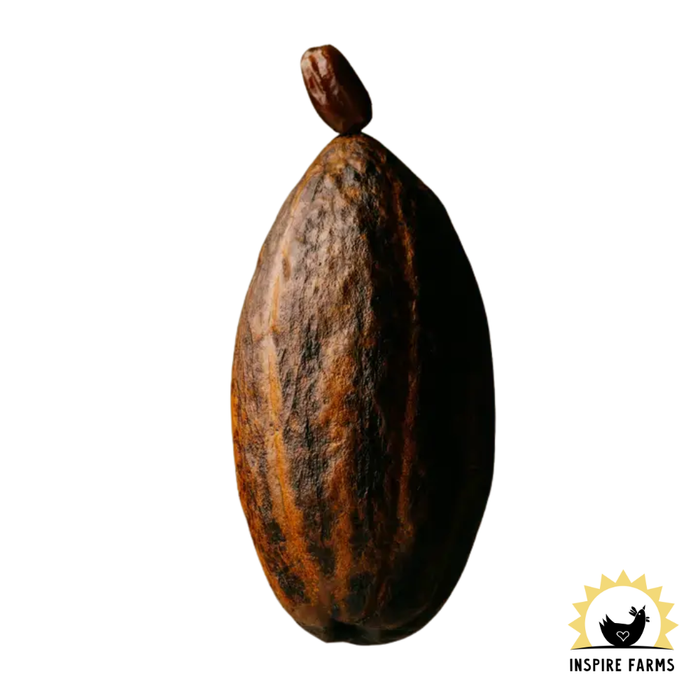 Date Sweetened Smooth Dark Chocolate – 72% Cacao