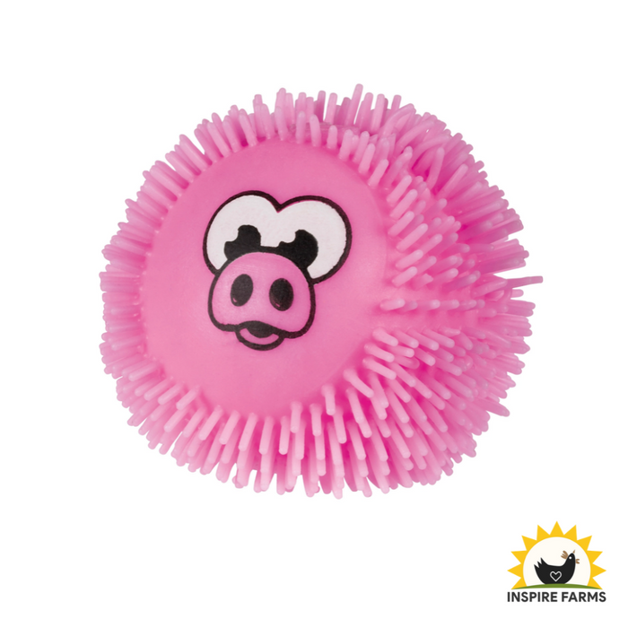 Toysmith Farm Fresh When Pigs Fly