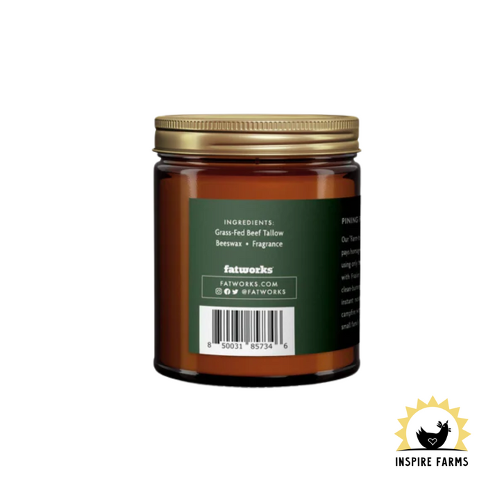 Fatworks Grass-Fed Tallow Candle - Fireside Pine