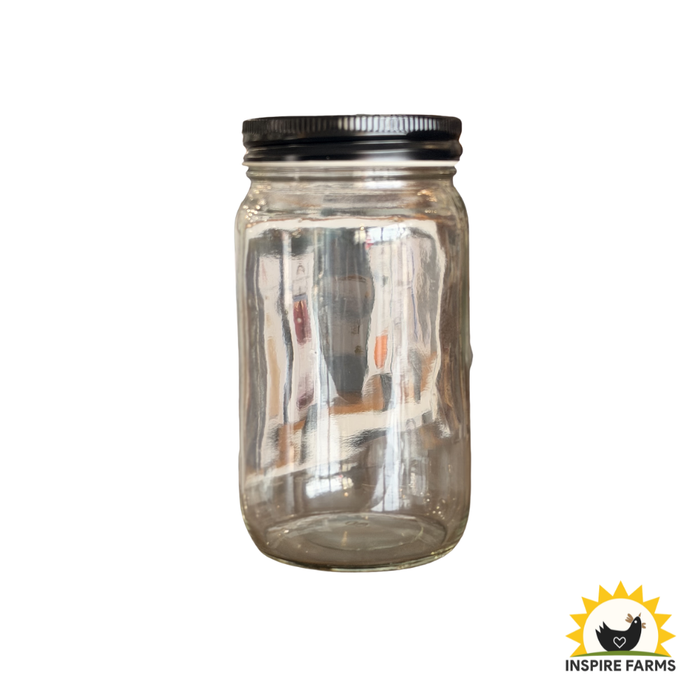 Glass Jar with Lid (Various Sizes) — Single Jar