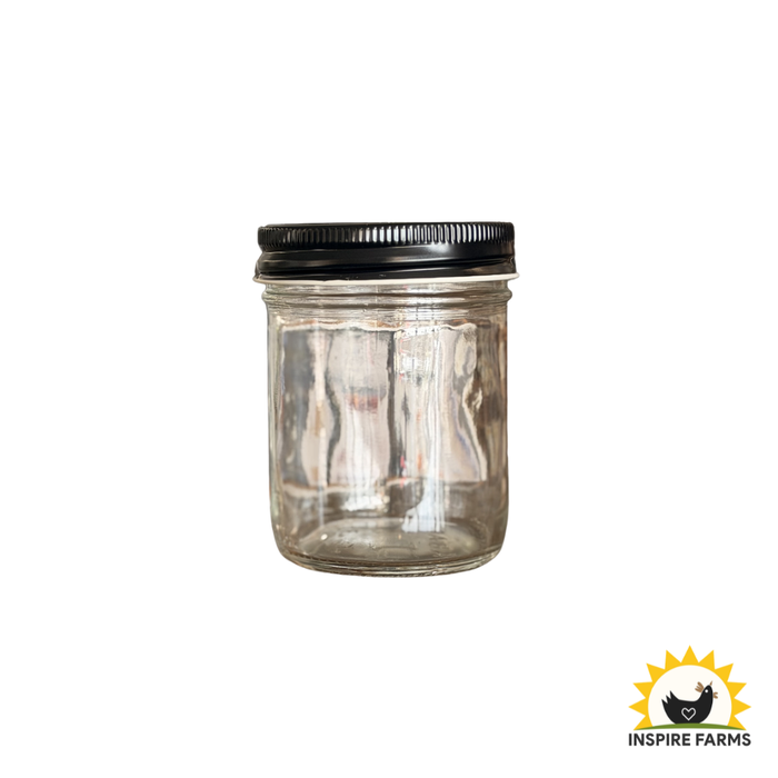 Glass Jar with Lid (Various Sizes) — Single Jar