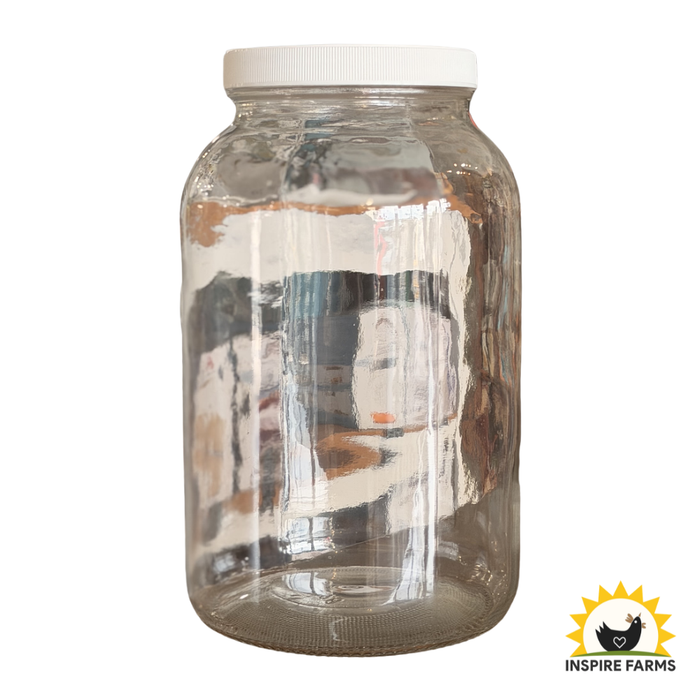 Glass Jar with Lid (Various Sizes) — Single Jar